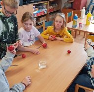 obrazek whatsapp 2024-05-23 v 09.31.24_2a6a918a